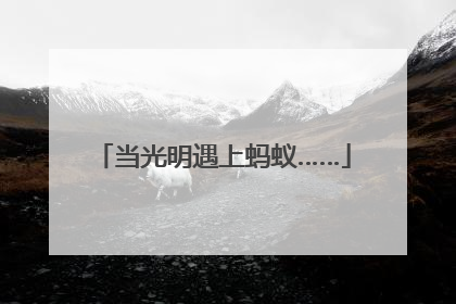 当光明遇上蚂蚁……