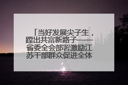当好发展尖子生，蹚出共富新路子——省委全会部署激励江苏干部群众促进全体人民共同富裕