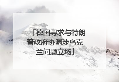 德国寻求与特朗普政府协调涉乌克兰问题立场