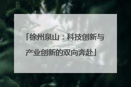徐州泉山：科技创新与产业创新的双向奔赴