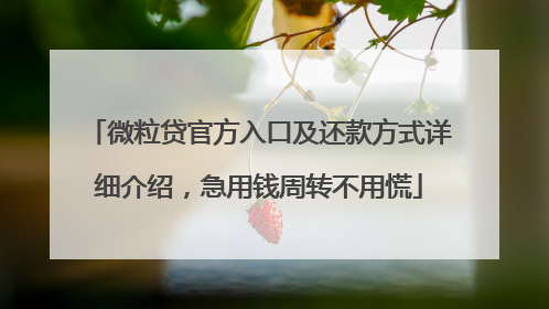 微粒贷官方入口及还款方式详细介绍，急用钱周转不用慌