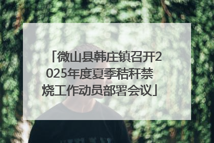 微山县韩庄镇召开2025年度夏季秸秆禁烧工作动员部署会议