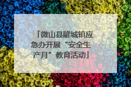 微山县驩城镇应急办开展“安全生产月”教育活动
