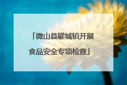 微山县驩城镇开展食品安全专项检查
