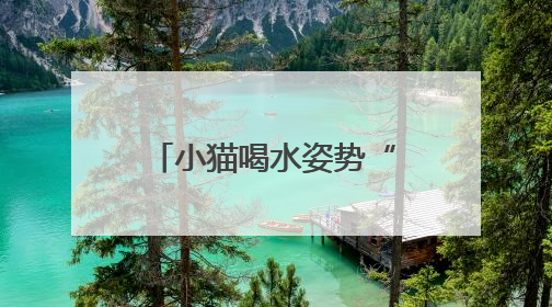 小猫喝水姿势“撞脸”三星堆文物？经求证该文物并非来自三星堆