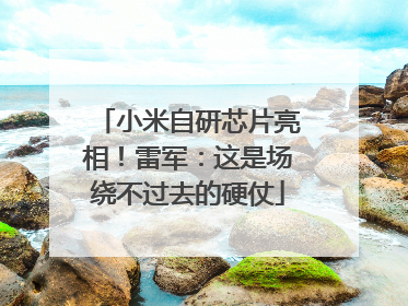 小米自研芯片亮相！雷军：这是场绕不过去的硬仗