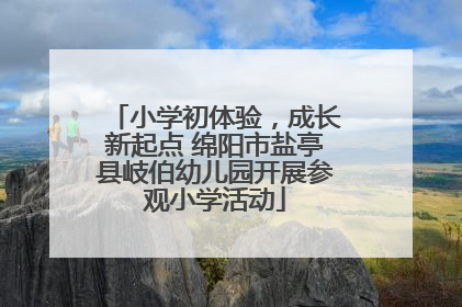 小学初体验，成长新起点 绵阳市盐亭县岐伯幼儿园开展参观小学活动