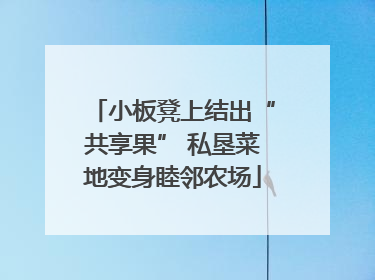 小板凳上结出“共享果” 私垦菜地变身睦邻农场