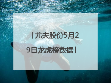 尤夫股份5月29日龙虎榜数据