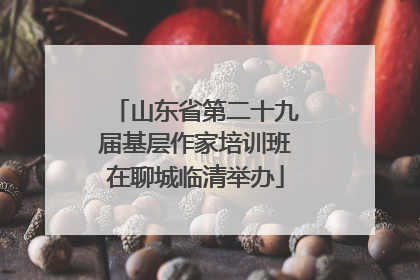 山东省第二十九届基层作家培训班在聊城临清举办