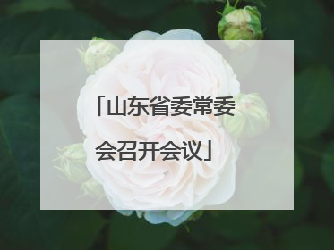 山东省委常委会召开会议