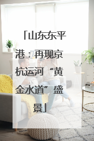 山东东平港：再现京杭运河“黄金水道”盛景