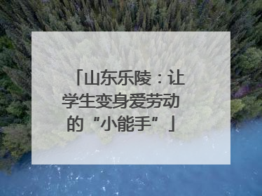 山东乐陵：让学生变身爱劳动的“小能手”
