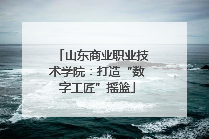 山东商业职业技术学院：打造“数字工匠”摇篮