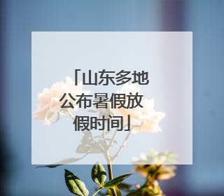 山东多地公布暑假放假时间