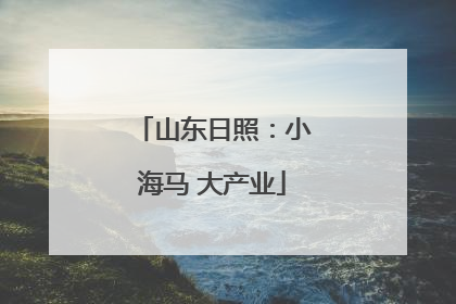 山东日照：小海马 大产业