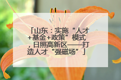 山东：实施“人才+基金+政策”模式，日照高新区——打造人才“强磁场”