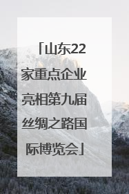 山东22家重点企业亮相第九届丝绸之路国际博览会