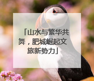 山水与繁华共舞，肥城崛起文旅新势力