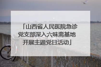 山西省人民医院急诊党支部深入六味斋基地开展主题党日活动