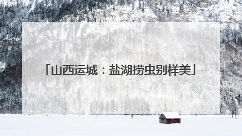 山西运城：盐湖捞虫别样美
