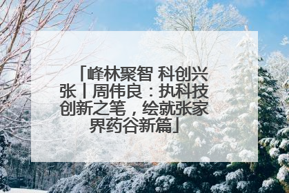 峰林聚智 科创兴张丨周伟良：执科技创新之笔，绘就张家界药谷新篇