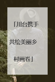 川台携手共绘美丽乡村画卷