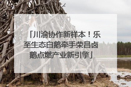 川渝协作新样本！乐至生态白鹅牵手荣昌卤鹅点燃产业新引擎