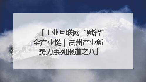 工业互联网“赋智”全产业链｜贵州产业新势力系列报道之八