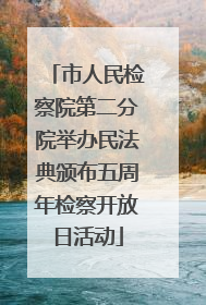 市人民检察院第二分院举办民法典颁布五周年检察开放日活动