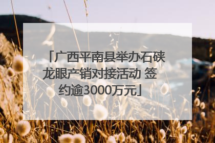 广西平南县举办石硖龙眼产销对接活动 签约逾3000万元