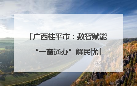 广西桂平市：数智赋能“一窗通办”解民忧