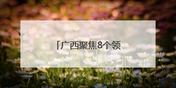 广西聚焦8个领域排查整治涉重金属环境安全隐患