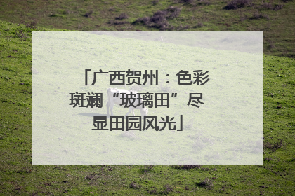 广西贺州：色彩斑斓“玻璃田”尽显田园风光