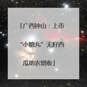 广西钟山：上市“小糖丸”无籽西瓜助农增收
