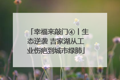 幸福来敲门④丨生态逆袭 吉家湖从工业伤疤到城市绿肺