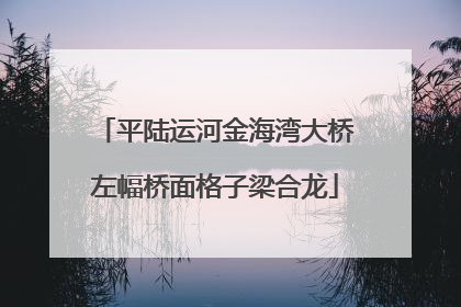 平陆运河金海湾大桥左幅桥面格子梁合龙