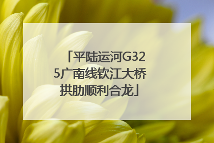 平陆运河G325广南线钦江大桥拱肋顺利合龙