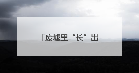 废墟里“长”出艺术展，温州首个“自然生态综合体示范片”启幕