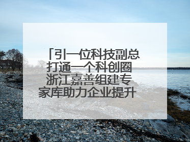 引一位科技副总 打通一个科创圈 浙江嘉善组建专家库助力企业提升自主创新能力