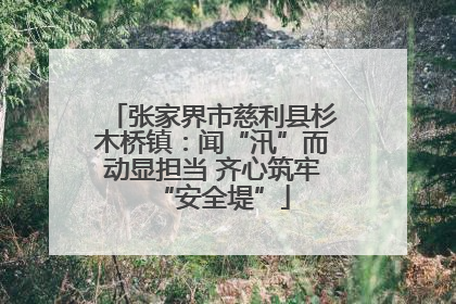 张家界市慈利县杉木桥镇：闻“汛”而动显担当 齐心筑牢“安全堤”