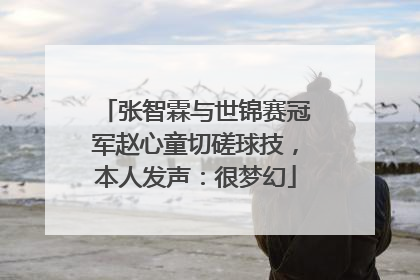 张智霖与世锦赛冠军赵心童切磋球技，本人发声：很梦幻
