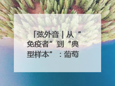 弦外音｜从“免疫者”到“典型样本”：葡萄牙极右翼崛起背后的欧洲困局