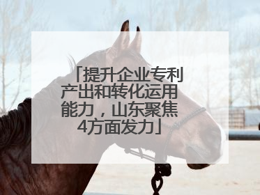 提升企业专利产出和转化运用能力，山东聚焦4方面发力