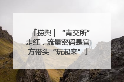 捞舆｜“青交所”走红，流量密码是官方带头“玩起来”
