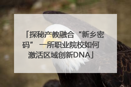 探秘产教融合“新乡密码” 一所职业院校如何激活区域创新DNA