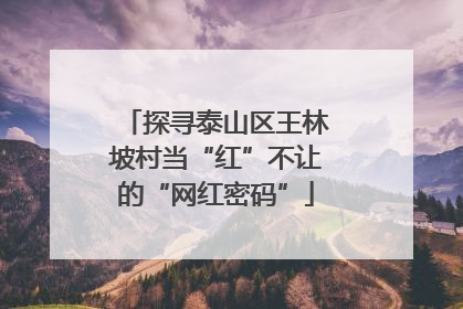 探寻泰山区王林坡村当“红”不让的“网红密码”