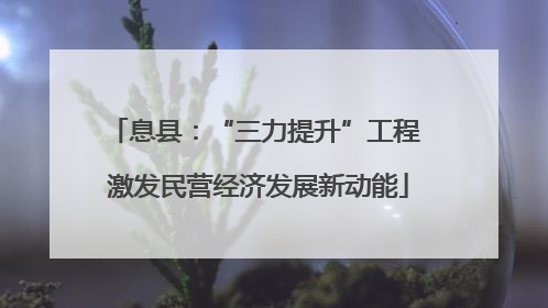 息县：“三力提升”工程 激发民营经济发展新动能