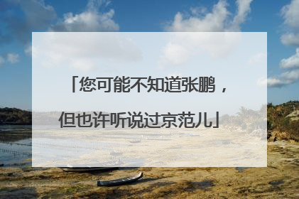您可能不知道张鹏，但也许听说过京范儿