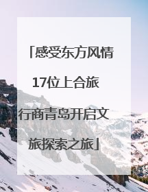 感受东方风情 17位上合旅行商青岛开启文旅探索之旅